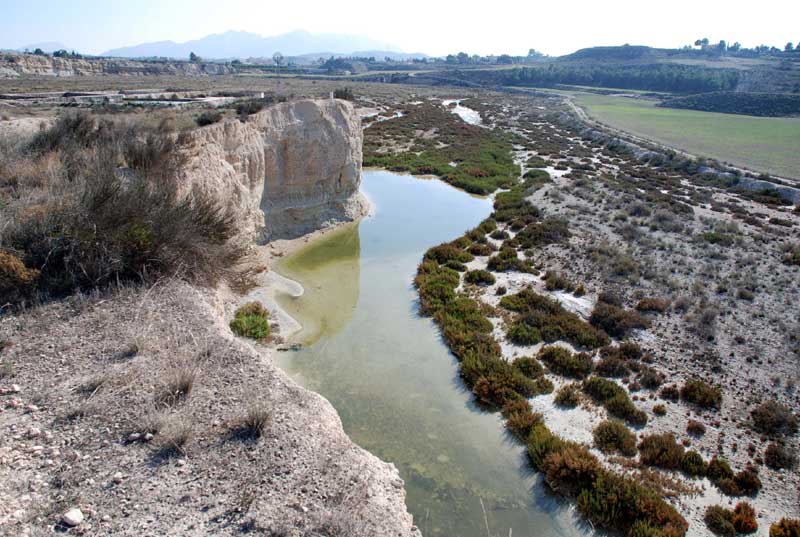 Paisaje Protegido Ajauque y Rambla Salada