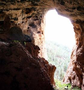 CUEVA DE LOS ANGUIJONES  (MILLER - SIERRA DEL SEGURA 2006-04-09 )