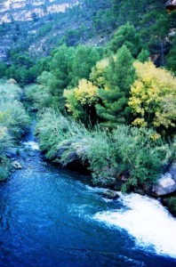 2-SIERRA DE LA PALERA (JOAQUIN LEAL)