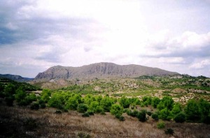 5-SIERRA DE LA PALERA (JOAQUIN LEAL)