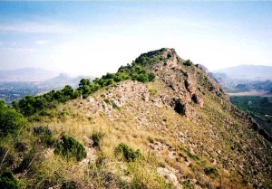 9-SIERRA DE LA PALERA (JOAQUIN LEAL)