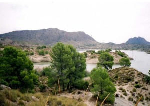 10-SIERRA DE LA PALERA (JOAQUIN LEAL)