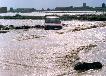 Inundaciones de 1987