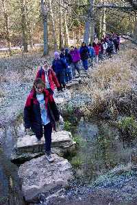 Can del Ro Lobos, Soria. Diciembre de 2004.