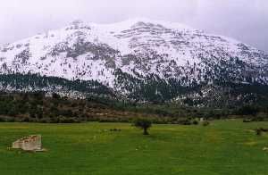 Prado, La Sagra al fondo.