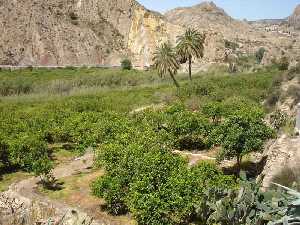 Paraje del Salto de la Novia [Ulea_Historia] 