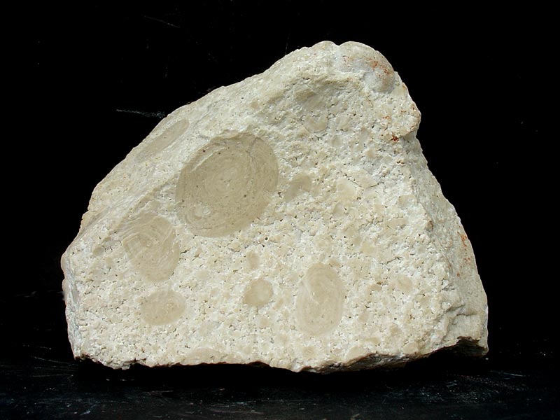 Caliza lacustre con oncolitos del Mioceno superior de Caravaca [Rocas]. Antonio del Ramo