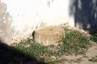 Muela del Molino