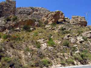 Vista de la ladera en la que se sitúa el yacimiento del Castillico de las Peñas