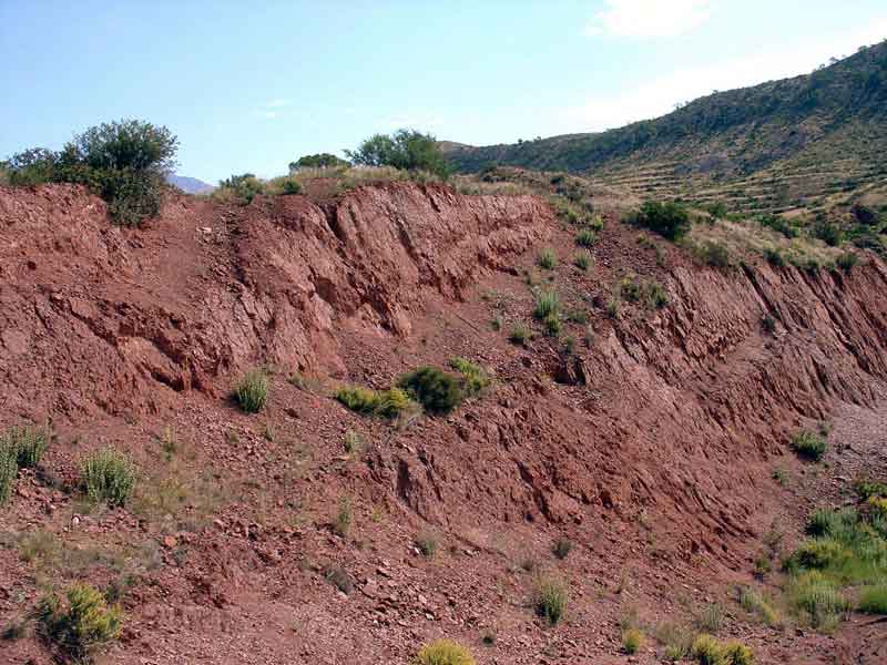 Areniscas silceas trisicas del Subbtico externo (Molina de Segura) [GEOLOGA]. Antonio del Ramo