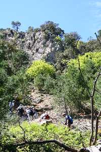 Pedriza en Arroyo de la Celadilla - Riopar - 2007-05-19