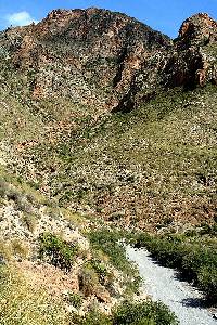 Rambla de la Bocaoria bajo la Morra de los Monteses (Cartagena)