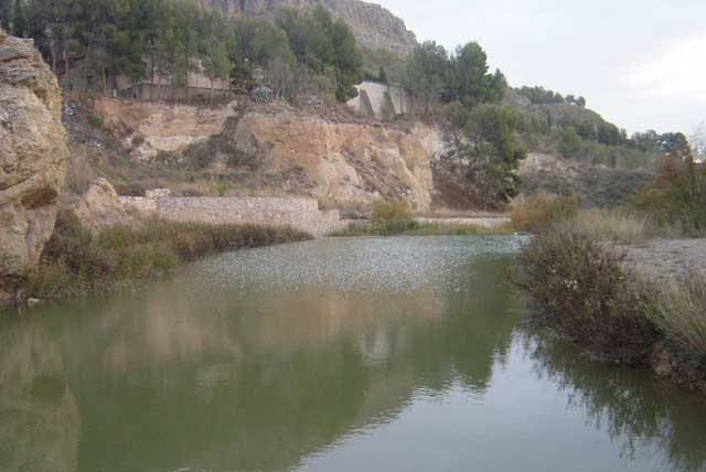 Charco del Zorro. Carmen Buitrago